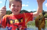 taylor_sunfish_fisherbeck-jigs
