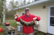 blue-gills-cabin-fisherbeck-jigs
